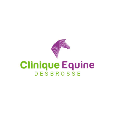 Un plateau technique au services de vos chevaux