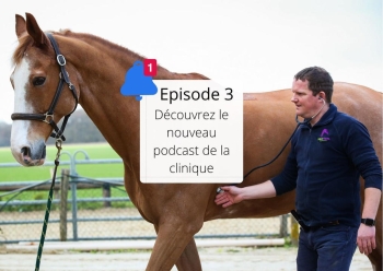 L’épisode 3 du podcast de La Clinique Equine Desbrosse est disponible !