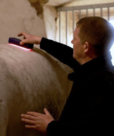 Dans quels cas utiliser le laser chez le cheval ?