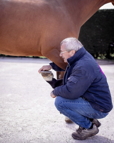 80% des chevaux de compétition souffrent de problèmes locomoteurs non détectés !